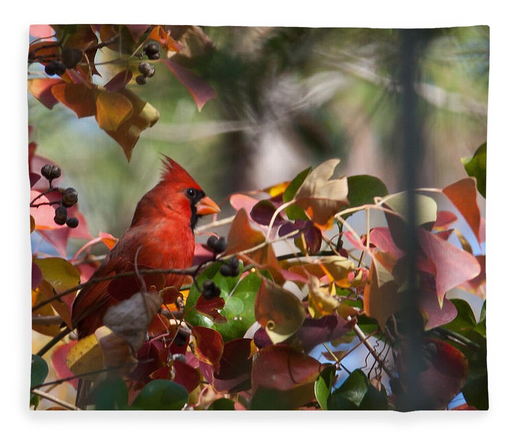 Redbird Fleece Blanket featuring the digital art Hiding Away by Linda Unger