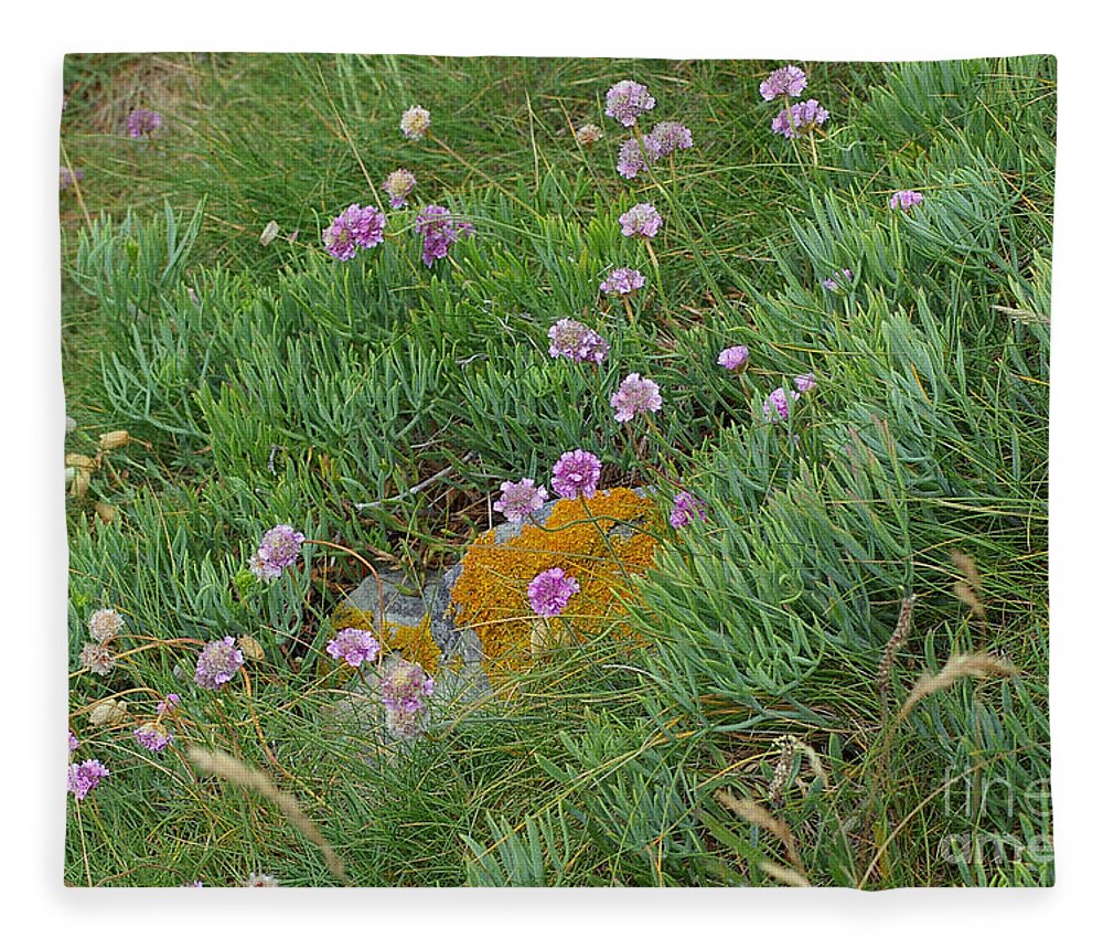 Wildflowers Fleece Blanket featuring the photograph Hillside of Wildflowers by Nancy L Marshall