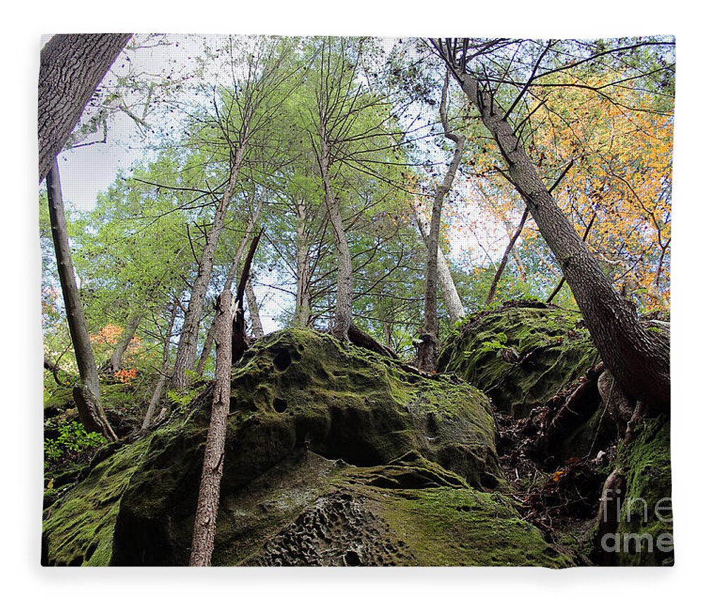 Forest Fleece Blanket featuring the photograph Hocking Hills Moss Covered Cliff by Karen Adams