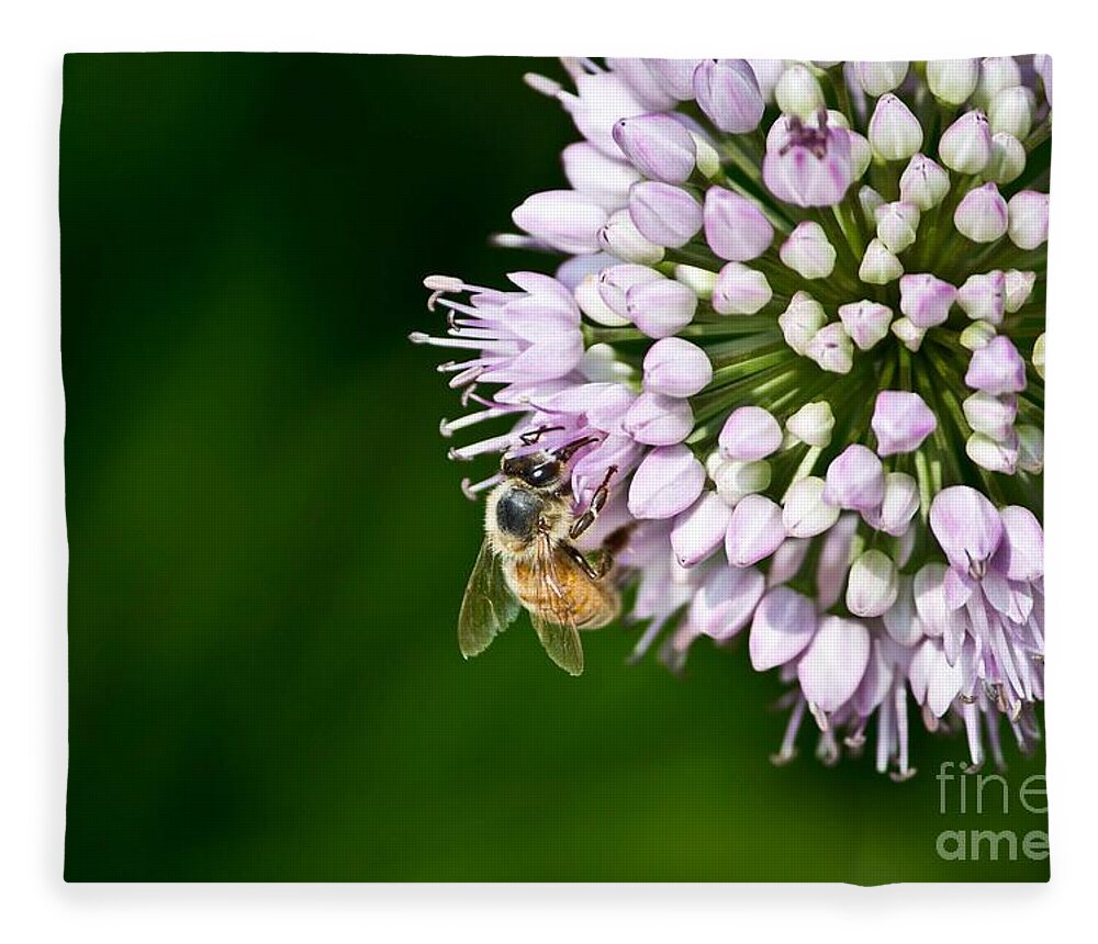 Bee Fleece Blanket featuring the photograph Honey Bee and Lavender Flower by Ms Judi