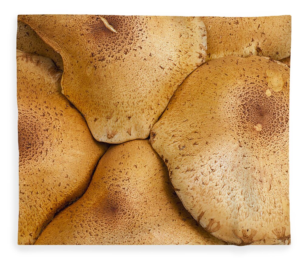 Feb0514 Fleece Blanket featuring the photograph Honey Fungus Mushrooms Germany by Duncan Usher