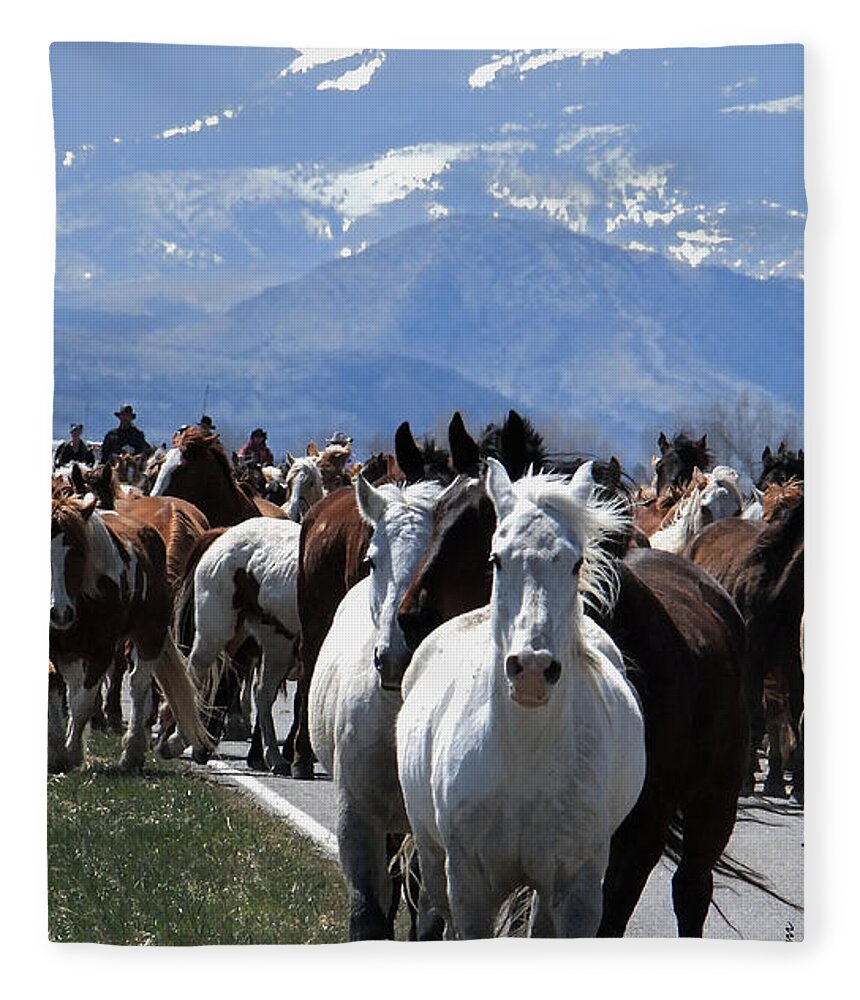 Horses Fleece Blanket featuring the photograph Horses on Road by Kae Cheatham
