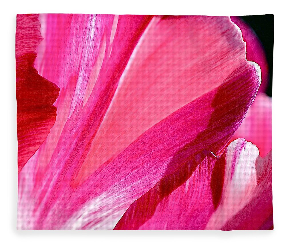 Fuchsia Fleece Blanket featuring the photograph Hot Pink by Rona Black