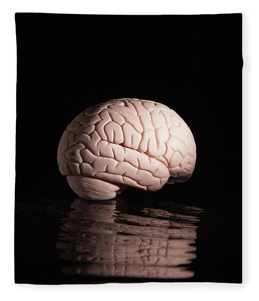 Tranquility Fleece Blanket featuring the photograph Human Brain With Reflection by Pm Images