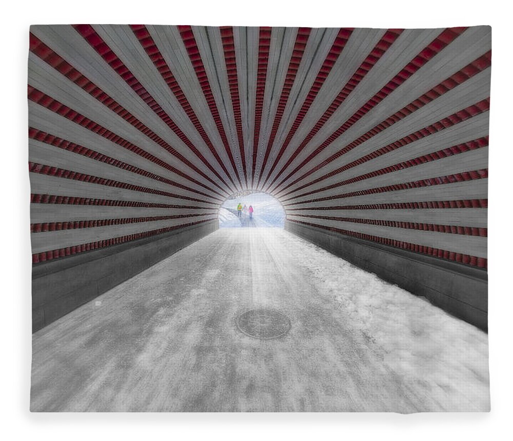 America Fleece Blanket featuring the photograph Hypnotic Playmates Arch by Susan Candelario