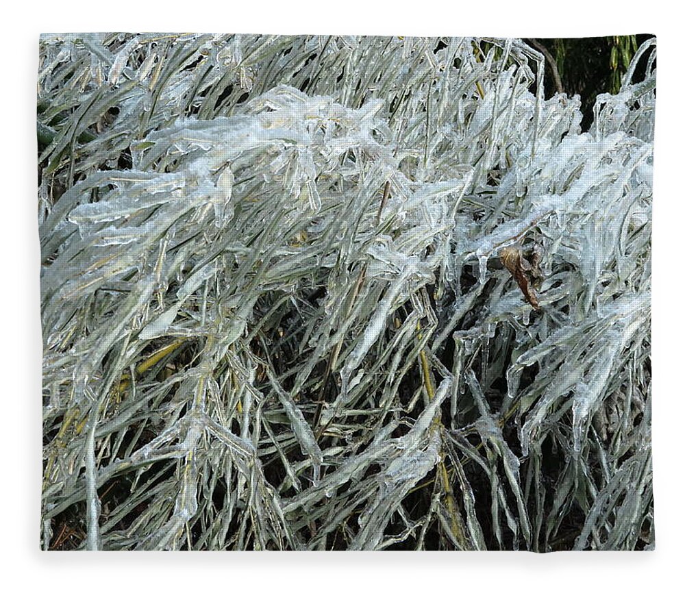 Ice Fleece Blanket featuring the photograph Ice On Bamboo Leaves by Daniel Reed