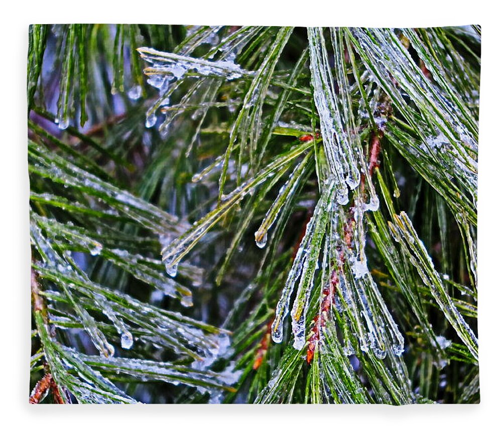Ice Fleece Blanket featuring the photograph Ice On Pine Needles by Daniel Reed