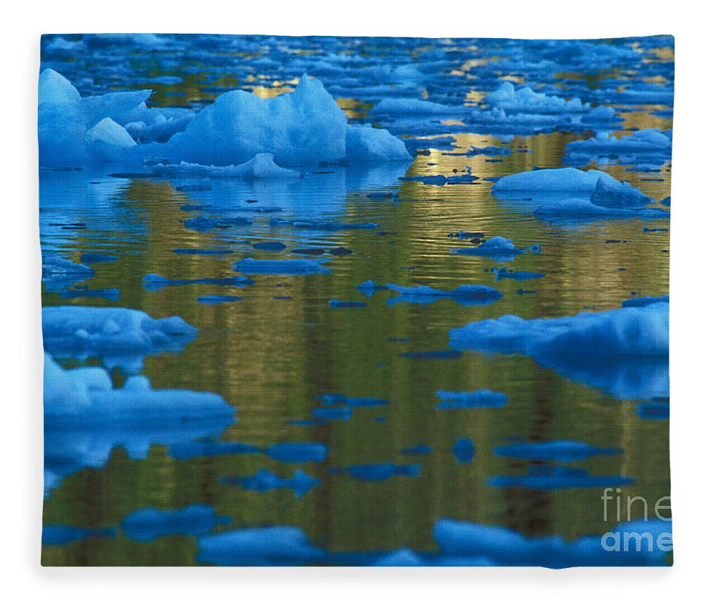 Glacier Fleece Blanket featuring the photograph Icebergs, Leconte Bay, Alaska by Ron Sanford