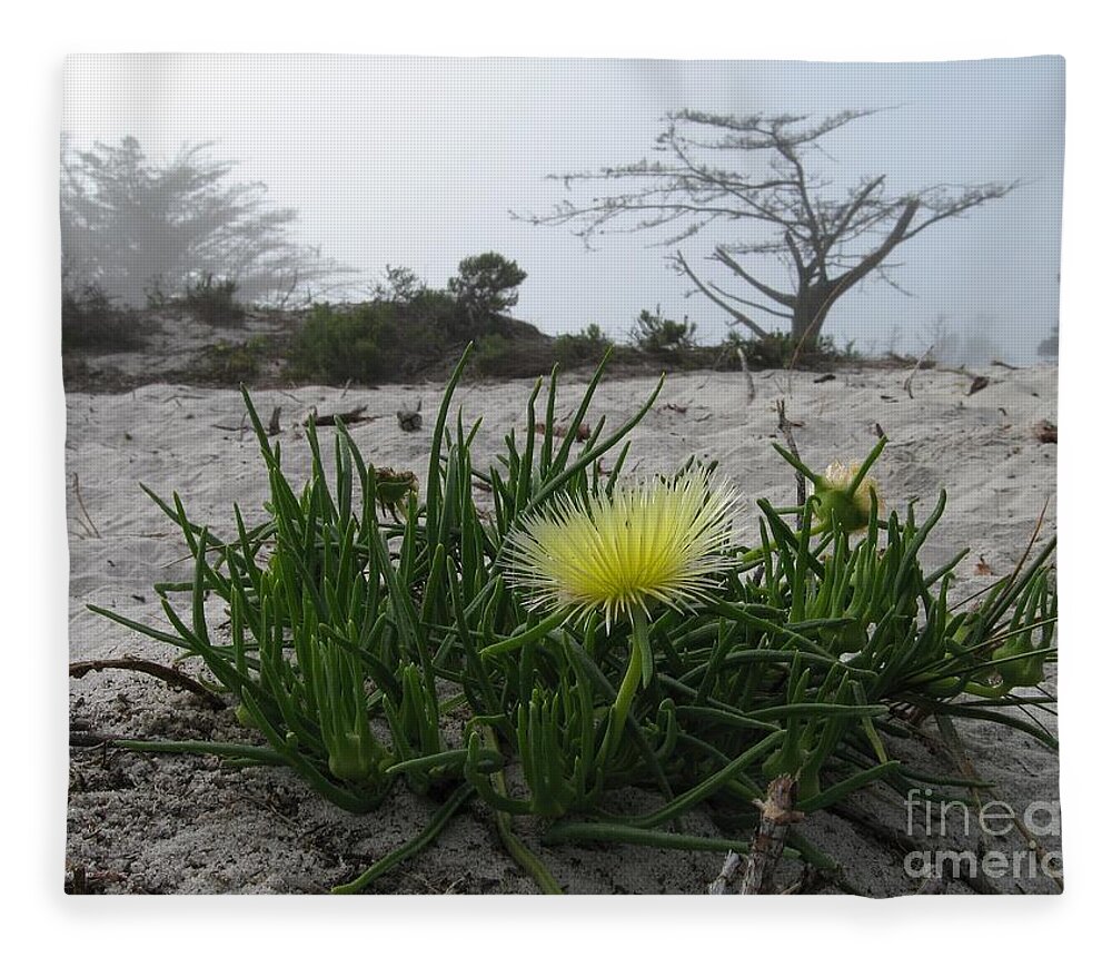 Beach Fleece Blanket featuring the photograph Iceplant Bloom on Carmel Dunes by James B Toy