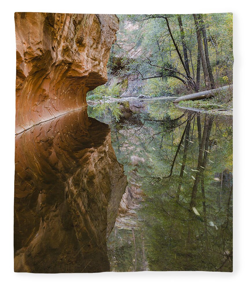 West Fork Fleece Blanket featuring the photograph Iconic by Tamara Becker