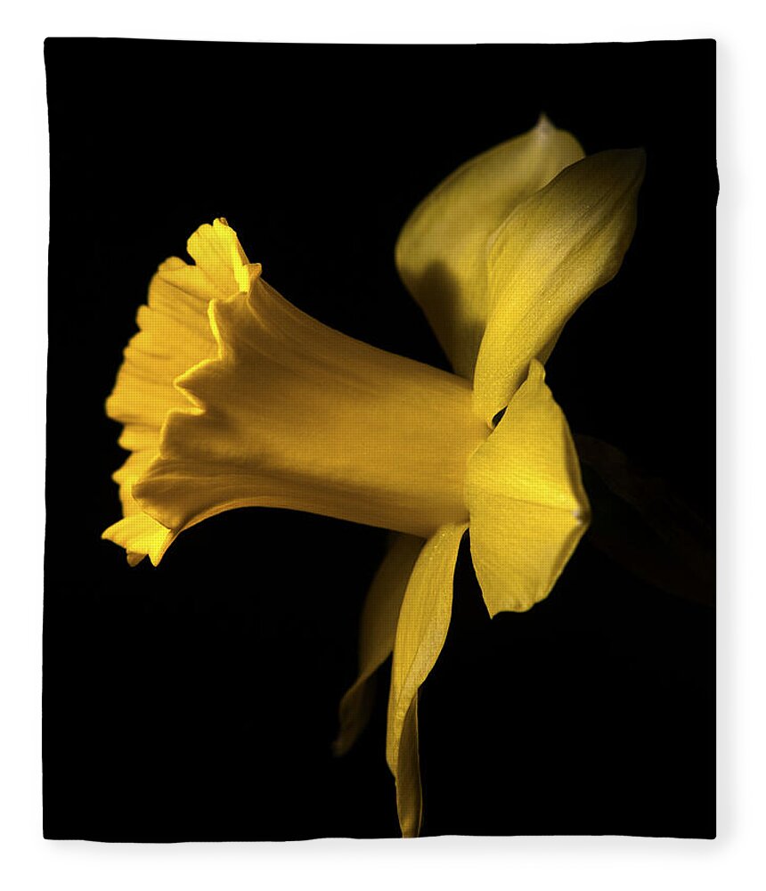 Daffodils Fleece Blanket featuring the photograph I'm ready for my closeup by Joe Schofield
