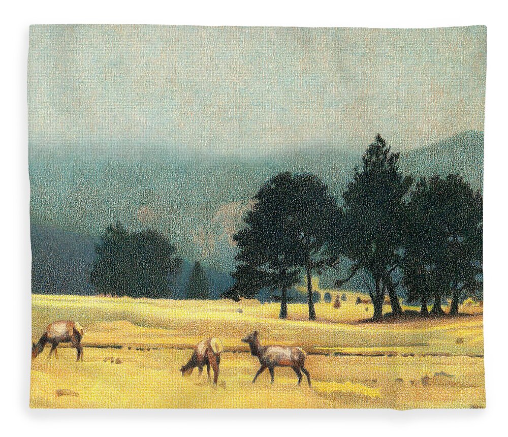 Art Fleece Blanket featuring the drawing Impression Evergreen Colorado by Dan Miller