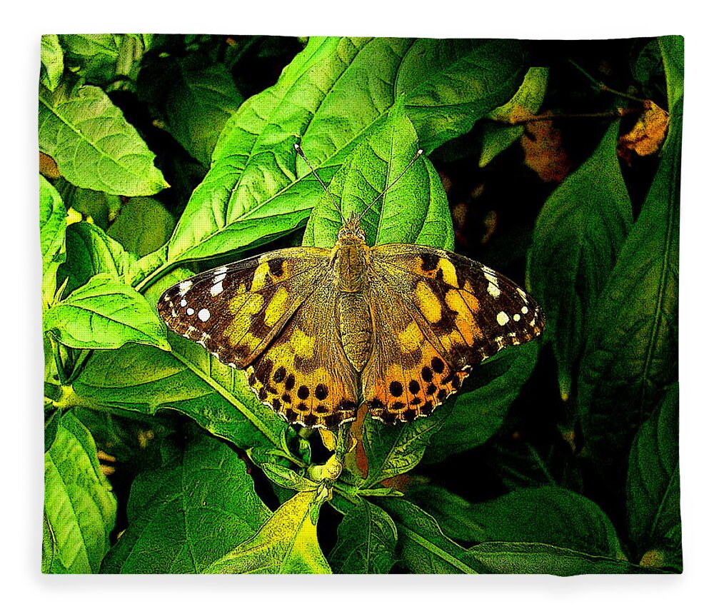 Fine Art Fleece Blanket featuring the photograph In My Home by Rodney Lee Williams