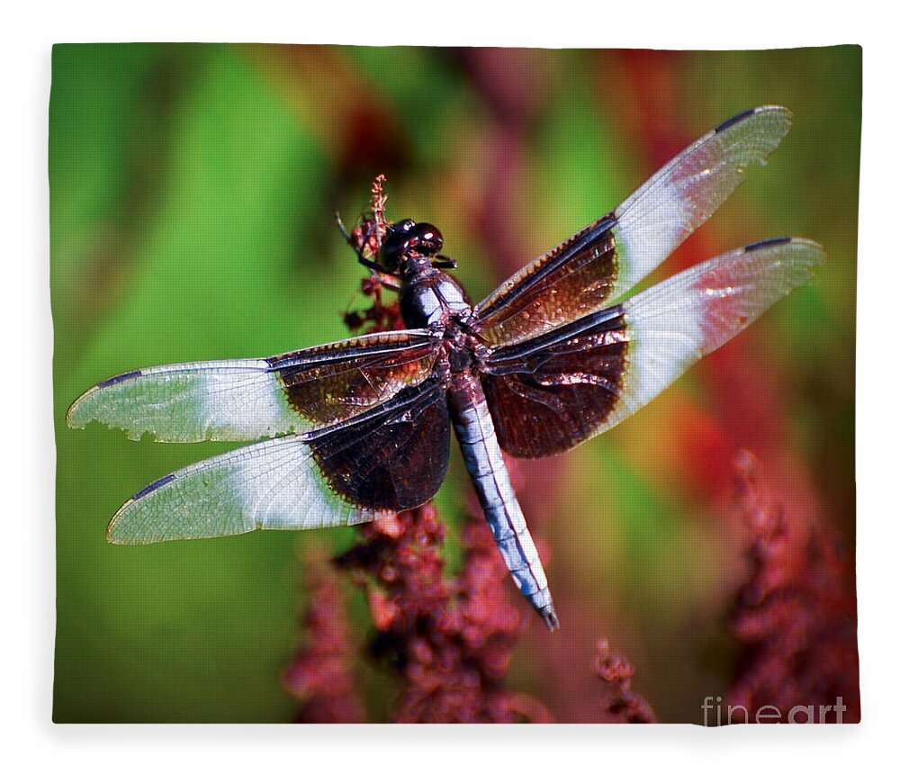 Dragonfly Fleece Blanket featuring the photograph In The Red by Kerri Farley