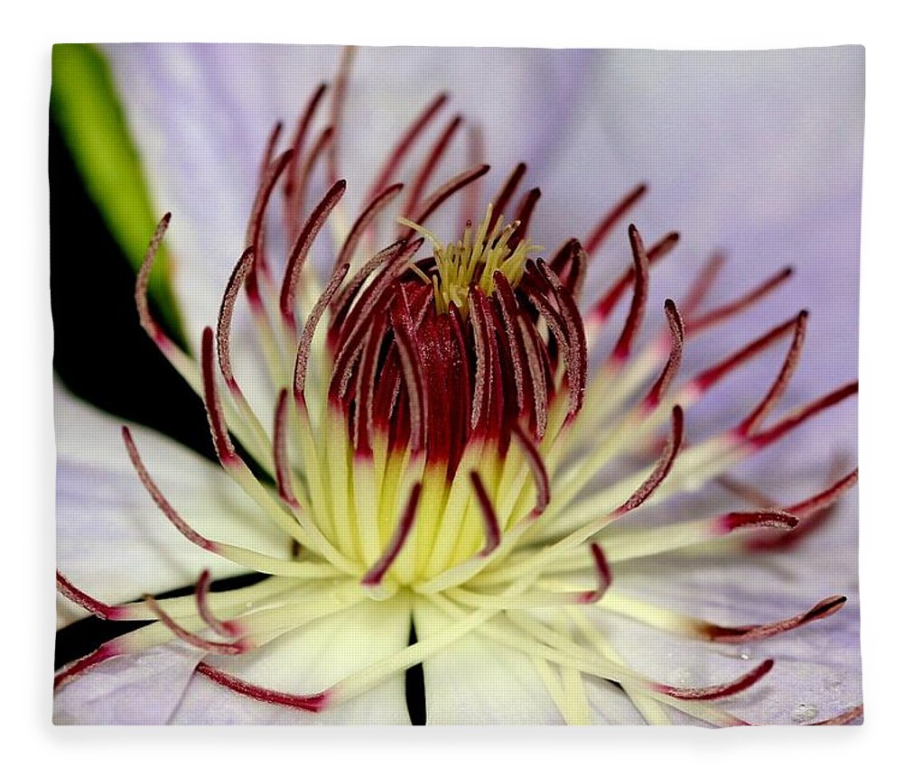 Flower Fleece Blanket featuring the photograph Inside a Clematis by Karen Silvestri