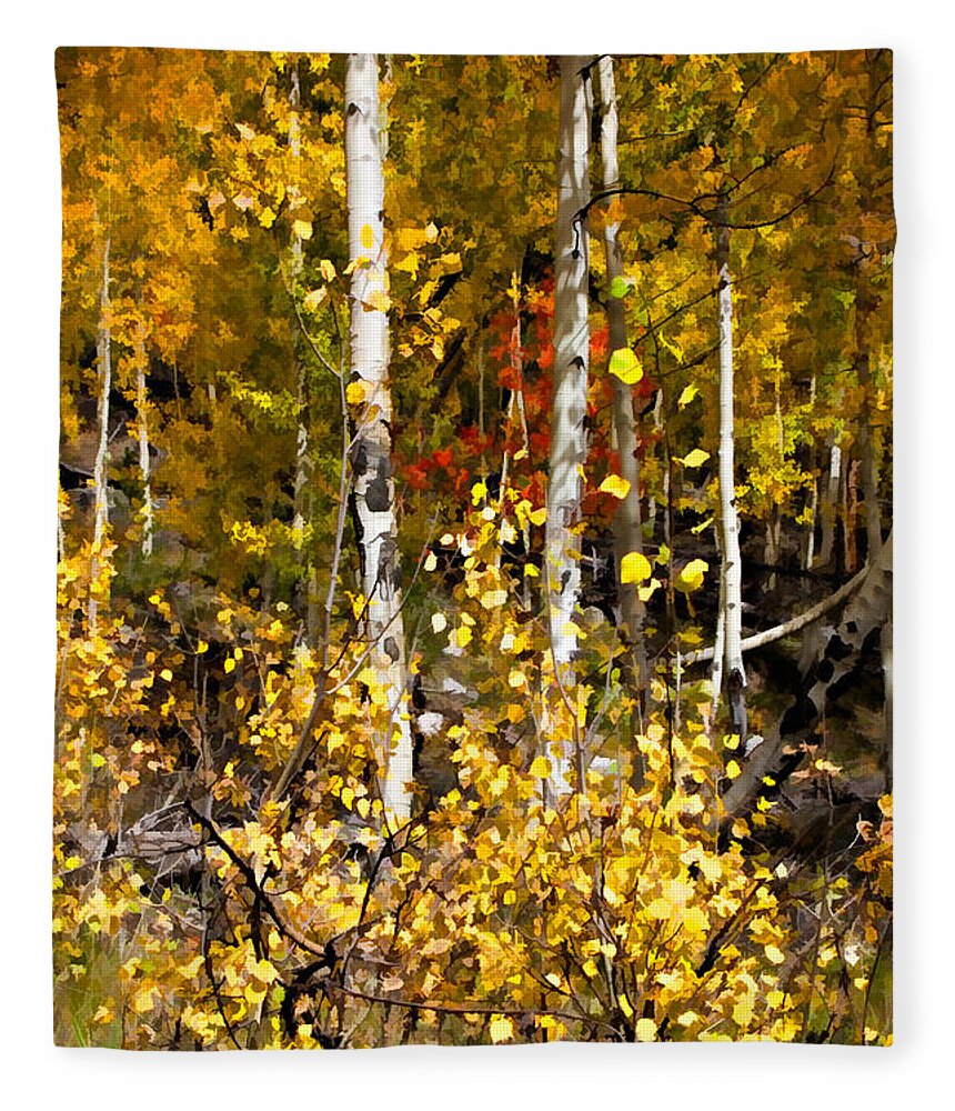 Autumn Fleece Blanket featuring the digital art Into Autumn by Lana Trussell
