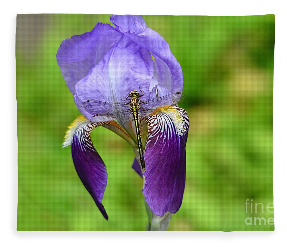 Iris Germanica Fleece Blanket featuring the photograph Iris and the Dragonfly 3 by Jai Johnson