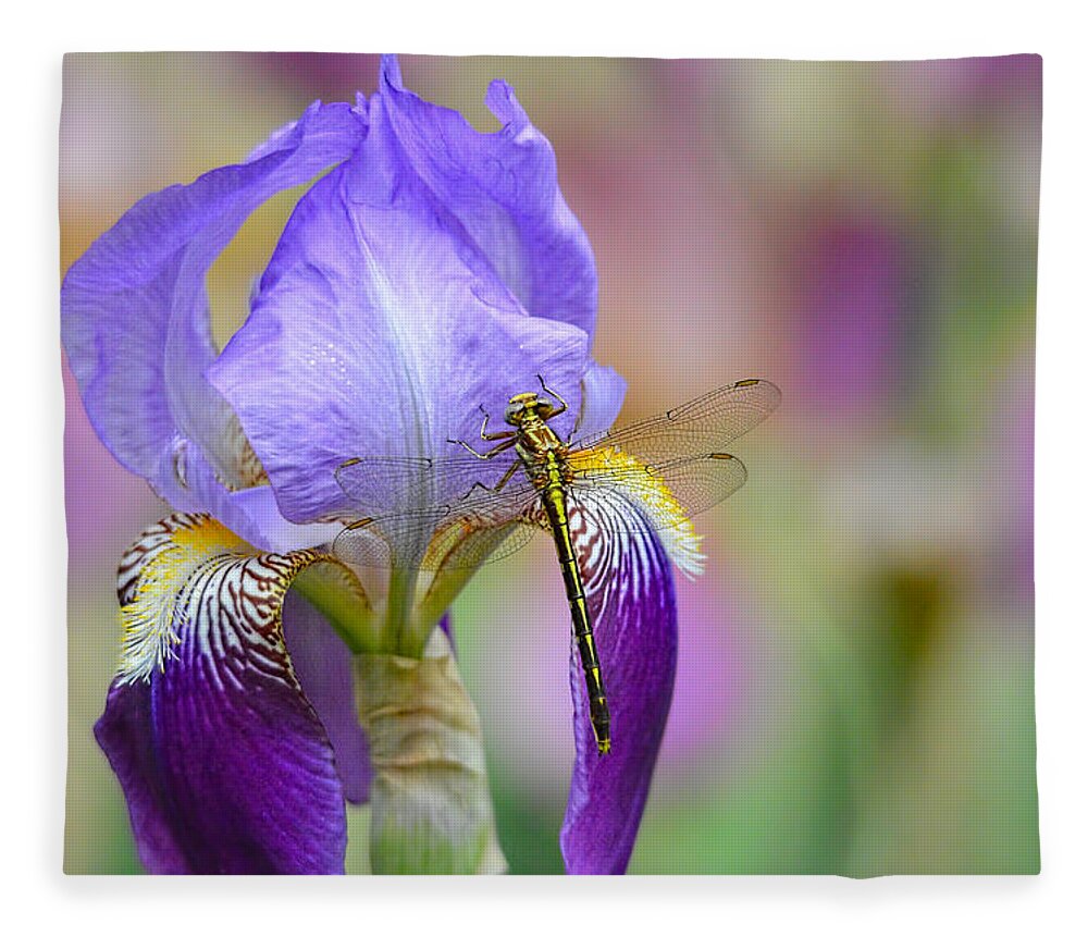 Iris Germanica Fleece Blanket featuring the photograph Iris and the Dragonfly 6 by Jai Johnson