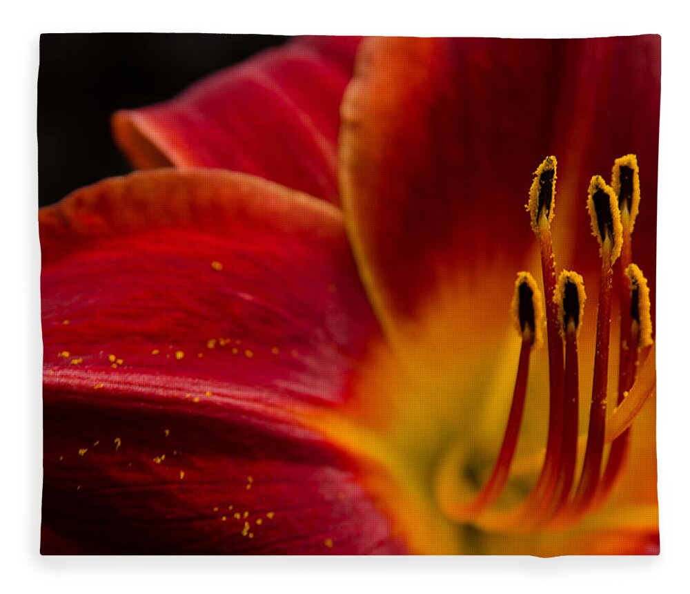 Iris Fleece Blanket featuring the photograph Iris Flower Power by Rick Bartrand