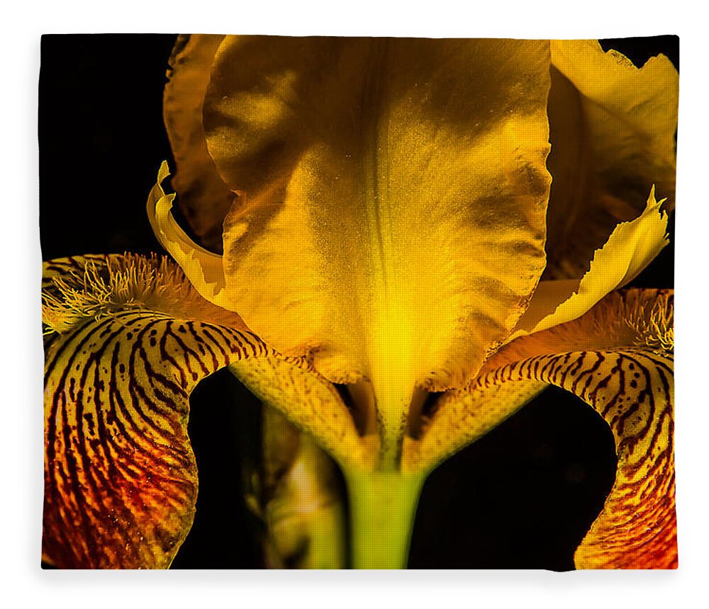 Iris Fleece Blanket featuring the photograph Iris in the Dark by Rick Bartrand