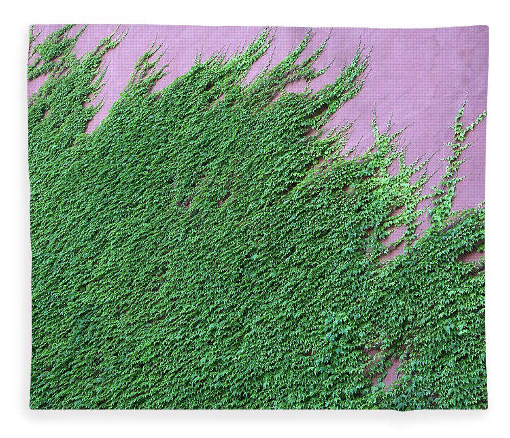 Built Structure Fleece Blanket featuring the photograph Ivy Climbing Up Wall by Frederick Bass