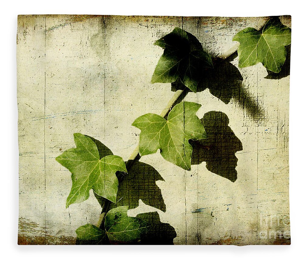 Ivy Fleece Blanket featuring the photograph Ivy by Ellen Cotton