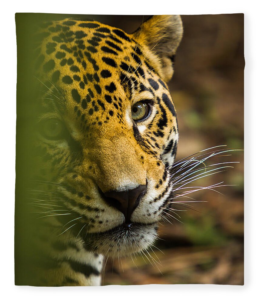 Jaguar Fleece Blanket featuring the photograph Jaguar by Raul Rodriguez