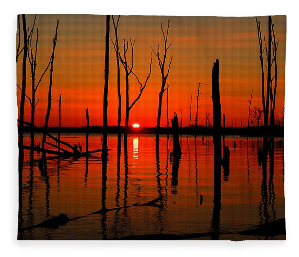 January Sunrise Fleece Blanket featuring the photograph January Sunrise by Raymond Salani III