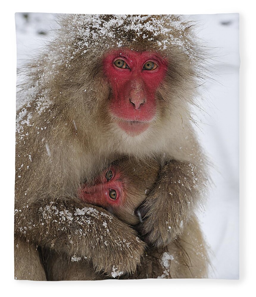 Thomas Marent Fleece Blanket featuring the photograph Japanese Macaque Warming Baby by Thomas Marent