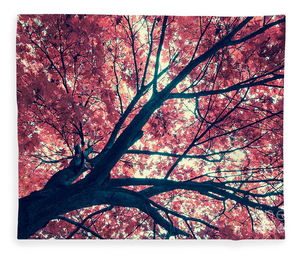 Autumn Fleece Blanket featuring the photograph Japanese Maple - Vintage by Hannes Cmarits