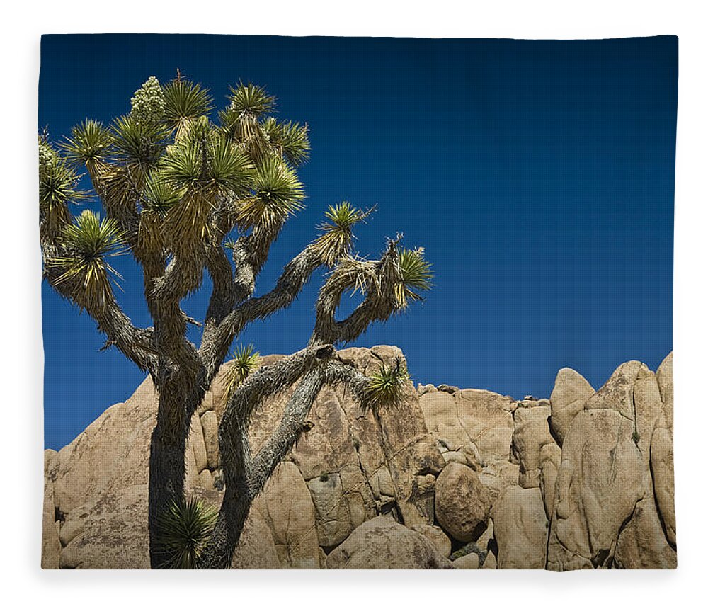 California Fleece Blanket featuring the photograph Rock Formations and Joshua Tree in the National Park by Randall Nyhof