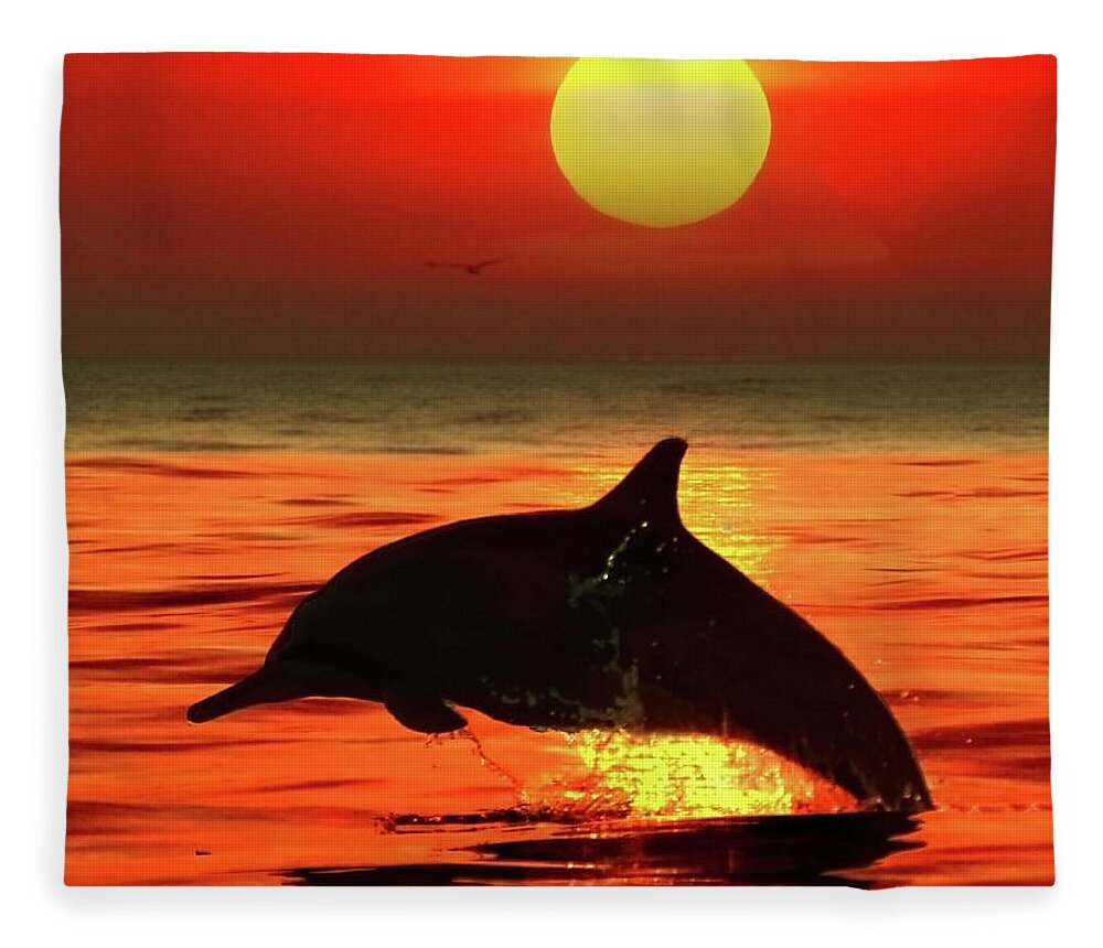 Scenics Fleece Blanket featuring the photograph Jumping Dolphin, Bali by Photo By Prasit Chansareekorn