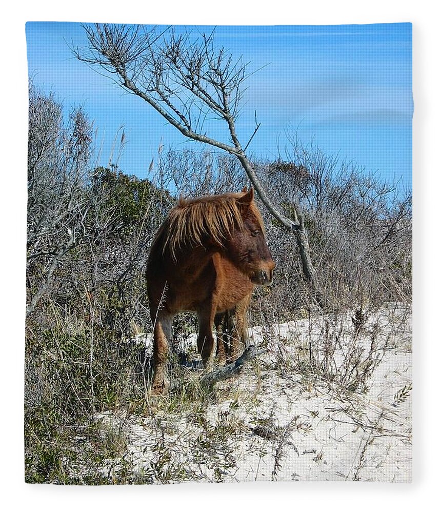 Horse Fleece Blanket featuring the photograph Just another day at the beach by Photographic Arts And Design Studio