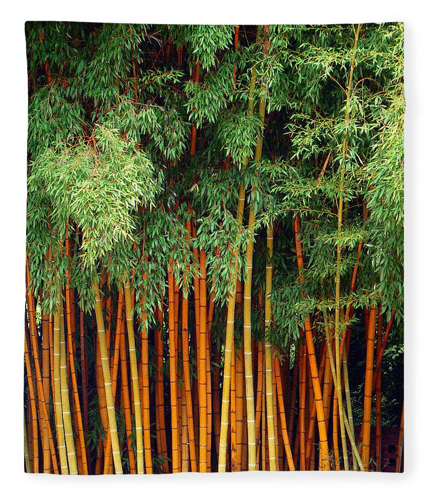 Trees Fleece Blanket featuring the photograph Just Bamboo by Sue Melvin