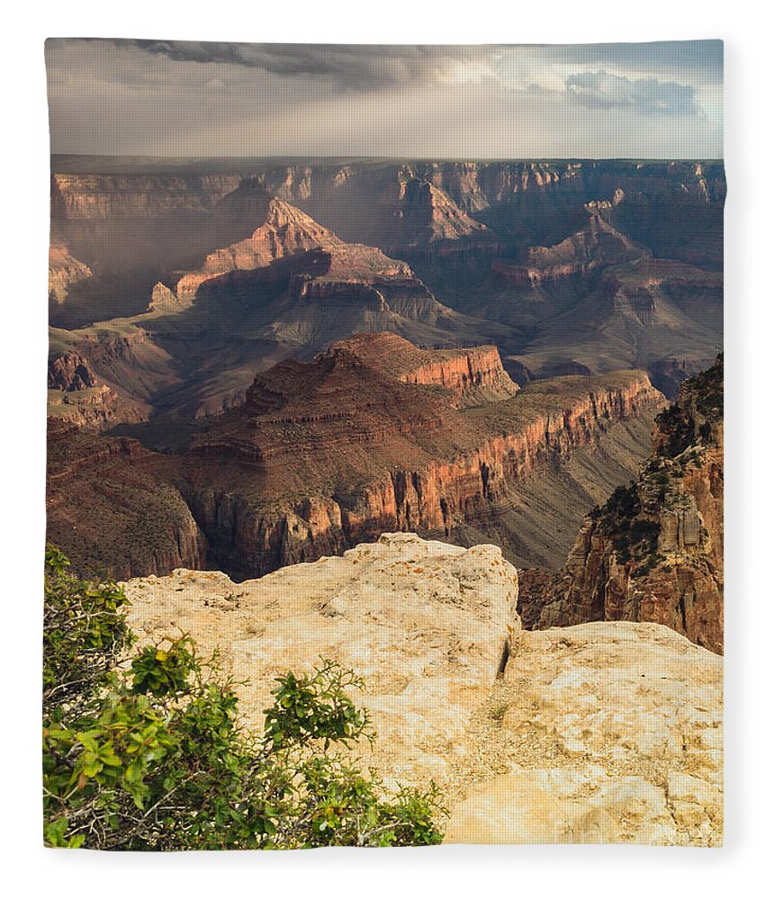 Grand Canyon Fleece Blanket featuring the photograph Grand Canyon North Rim by Tamara Becker