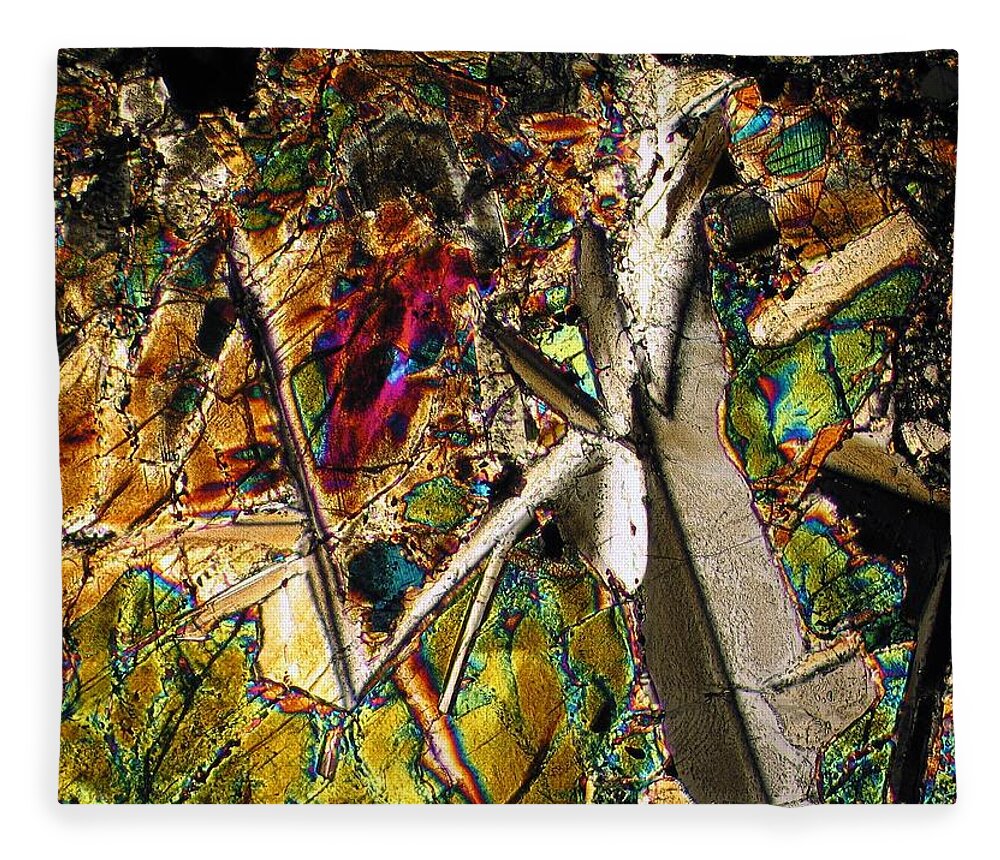 Meteorites Fleece Blanket featuring the photograph Jungle Dusk by Hodges Jeffery