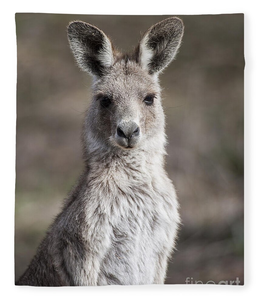 Australia Fleece Blanket featuring the photograph Kangaroo by Steven Ralser