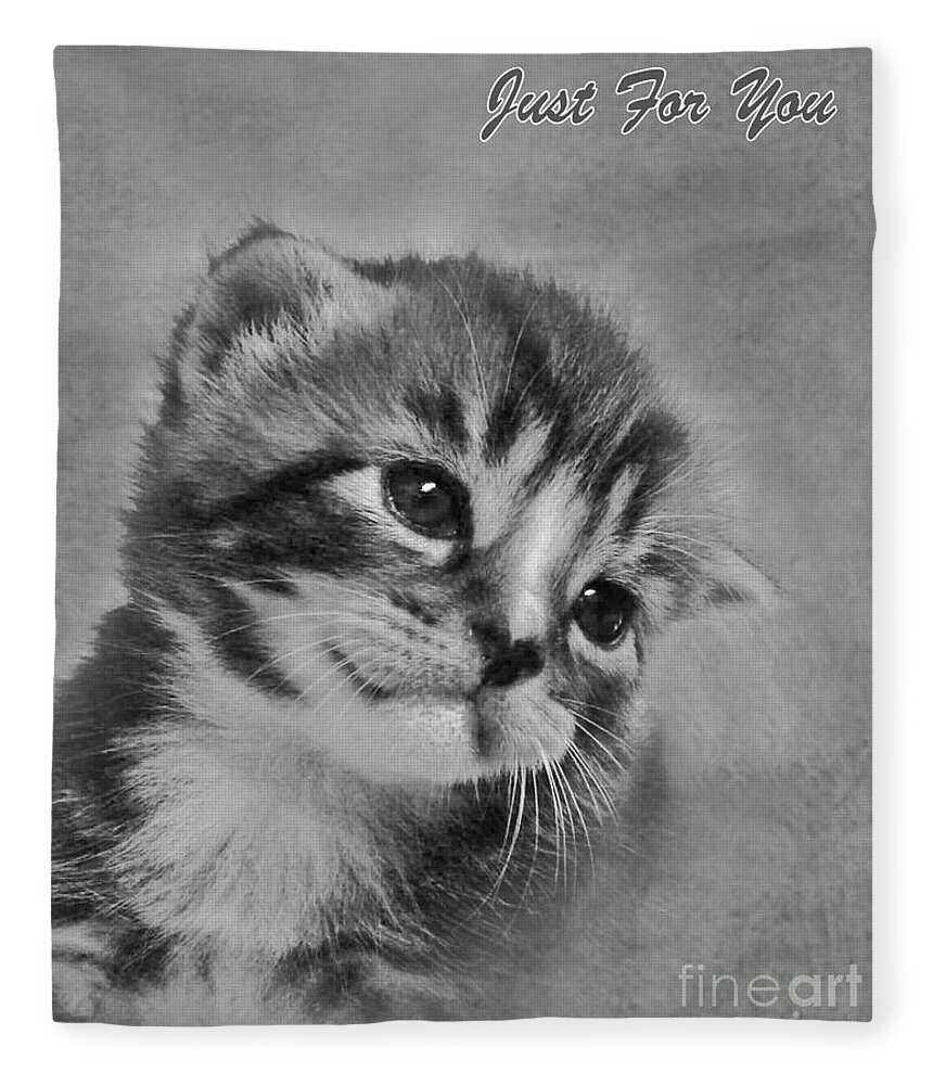 Kitten Fleece Blanket featuring the photograph Kitten Just For You by Terri Waters