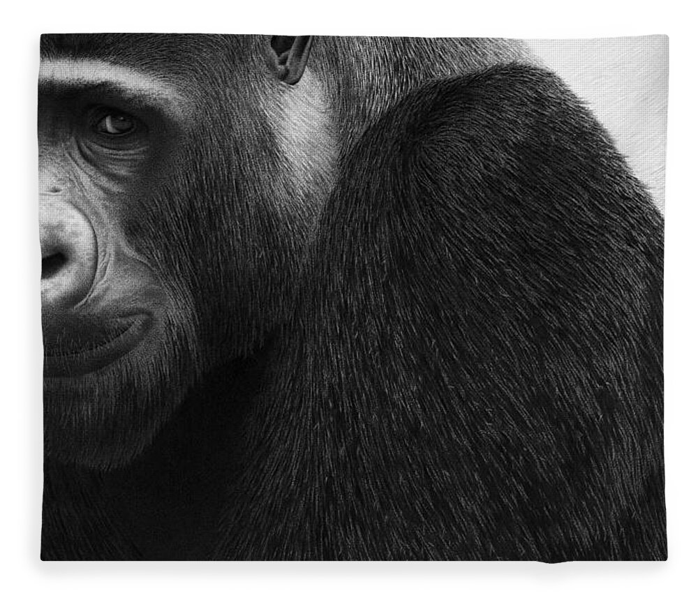 Gorilla Fleece Blanket featuring the drawing Kong by Stirring Images