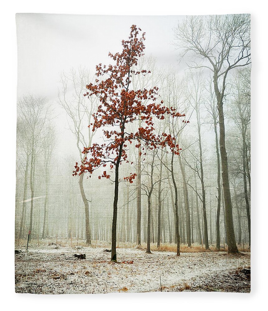 Tree Fleece Blanket featuring the photograph I Keep my Dress on by Randi Grace Nilsberg