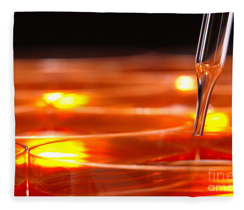 Lab Fleece Blanket featuring the photograph Laboratory Petri Dishes in Science Research Lab by Science Research Lab
