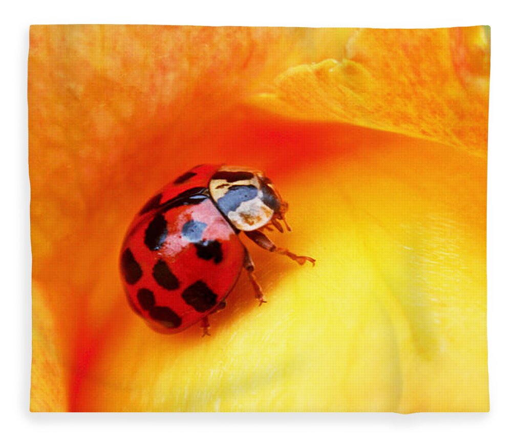 Ladybug Fleece Blanket featuring the photograph Ladybug by Rona Black