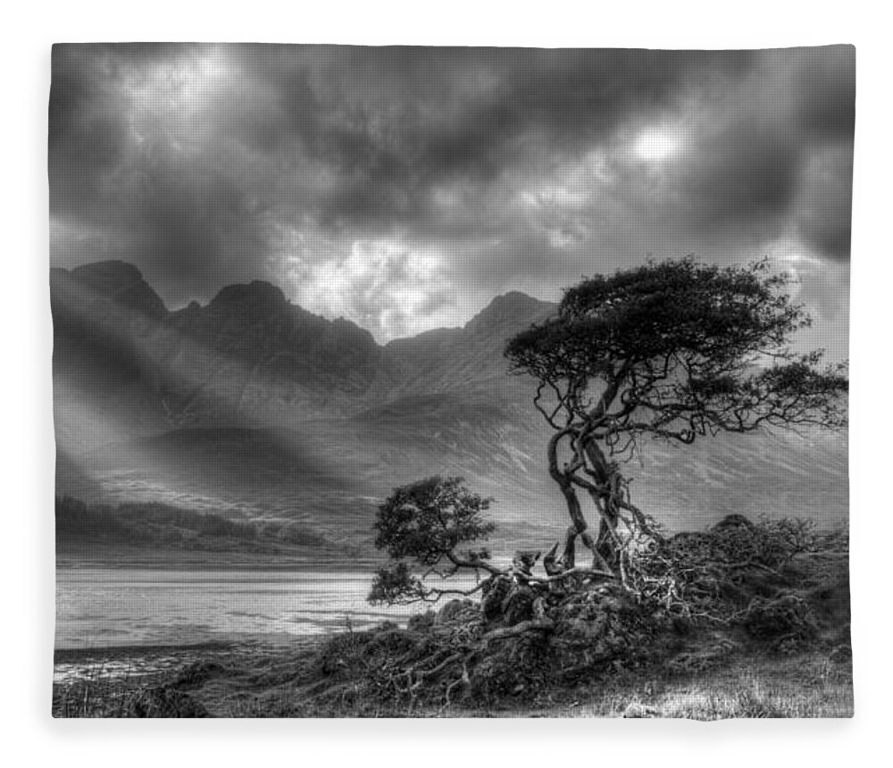 Scottish Landscapes Fleece Blanket featuring the photograph Lonely tree. Landscape of the Scottish Highlands in Scotland by Michalakis Ppalis