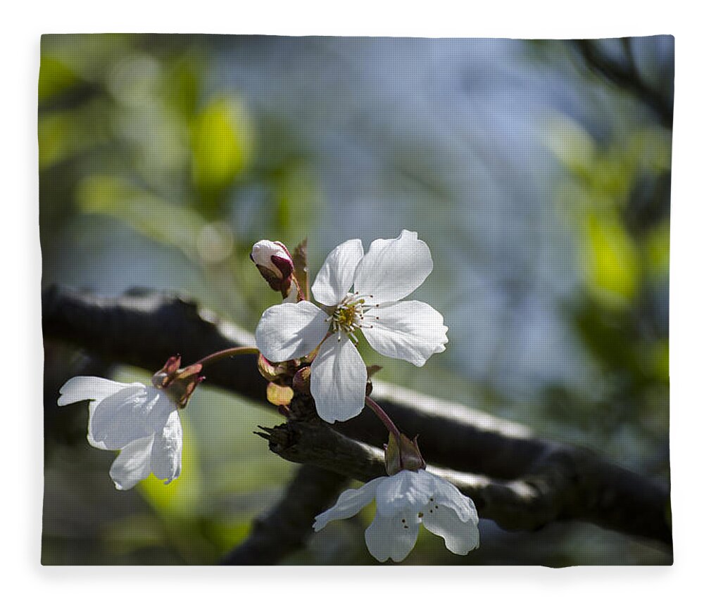Green Fleece Blanket featuring the photograph Late Spring Blossom by Spikey Mouse Photography