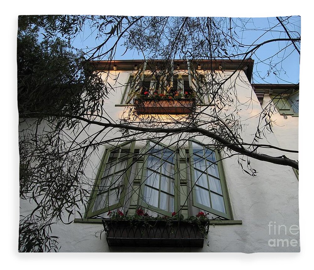 Facade Fleece Blanket featuring the photograph L'Auberge Facade by James B Toy