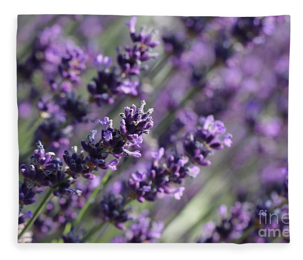 Closeup Fleece Blanket featuring the photograph Lavender by Amanda Mohler