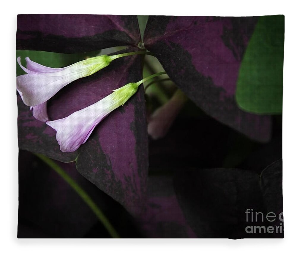 Flowers Fleece Blanket featuring the photograph Lay Down Beside Me by Ellen Cotton