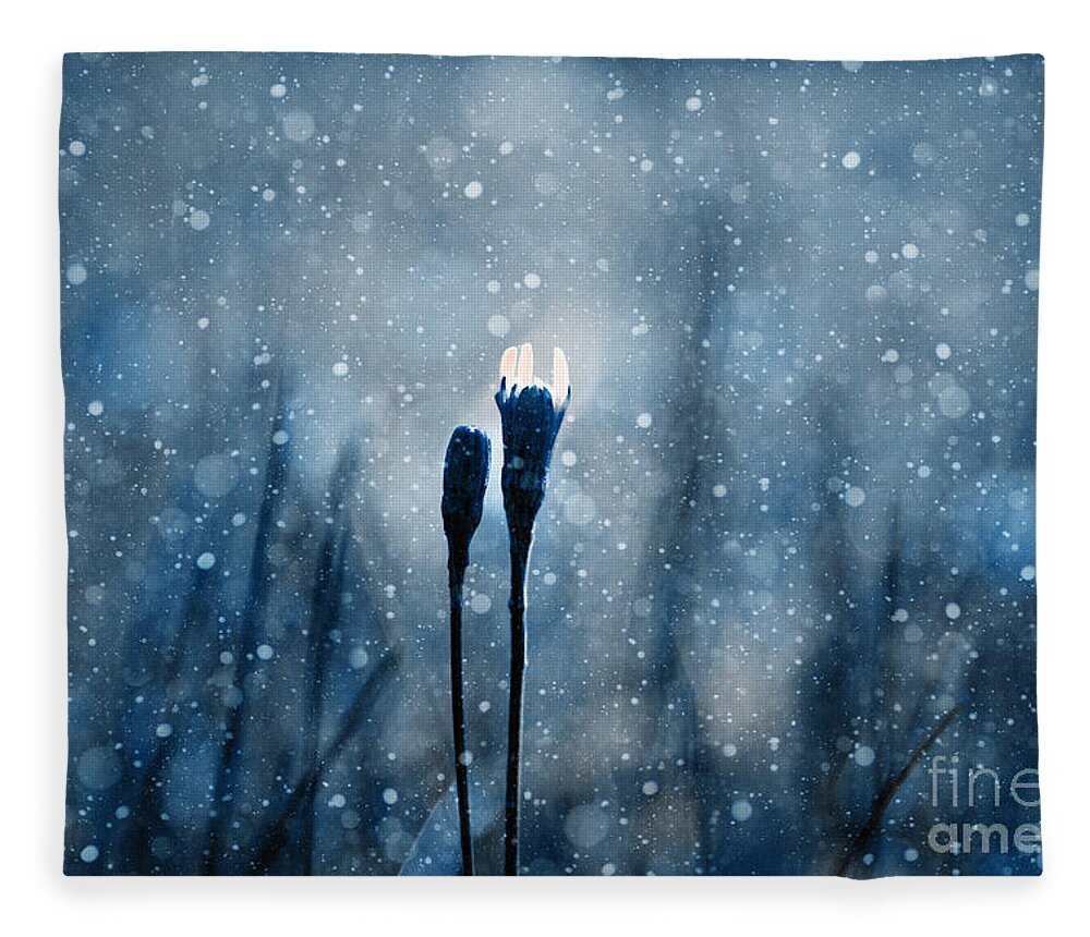 Blue Fleece Blanket featuring the photograph Le Centre de l Attention - s02-01at3b by Variance Collections