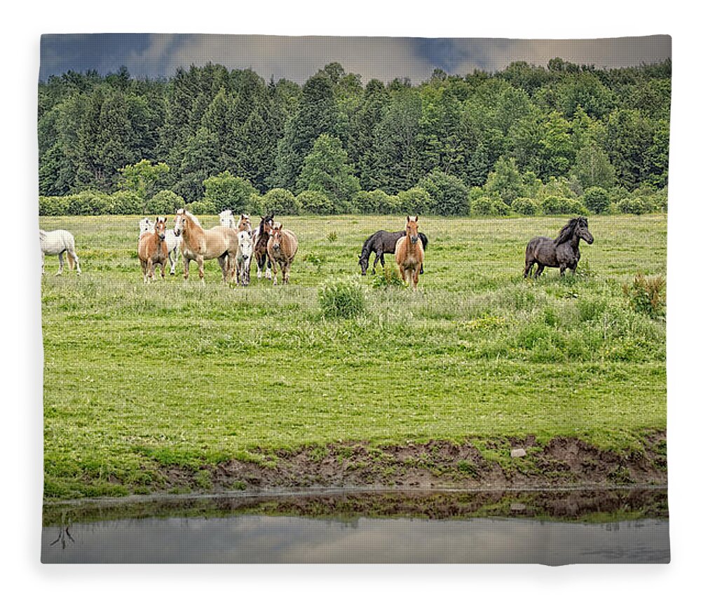 Horse Fleece Blanket featuring the photograph Leadership and Respect by Everet Regal
