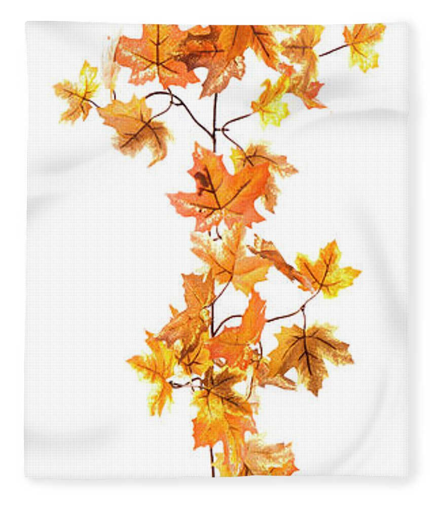 White Background Fleece Blanket featuring the photograph Leaf Garland by Gmvozd